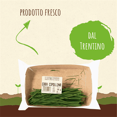 <strong>ERBA CIPOLLINA</strong><br>DEL TRENTINO