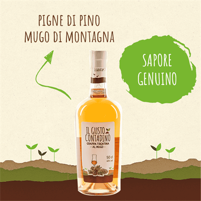<STRONG>GRAPPA TRENTINA</STRONG><BR>AL MUGO