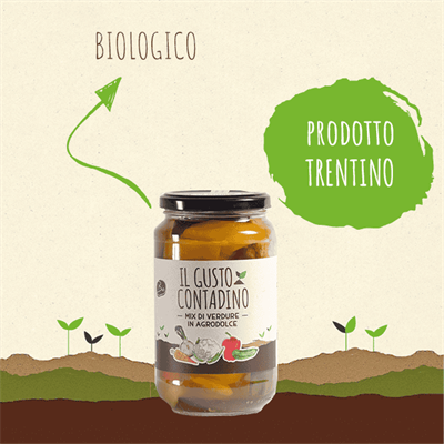 <strong>MIX DI VERDURE</strong><br>IN AGRODOLCE