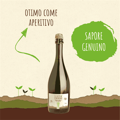 <STRONG>SIDRO DI MELA</STRONG><BR>DEL TRENTINO