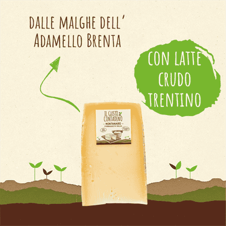 <STRONG>MONTANARO</STRONG><BR>FORMAGGIO DI MALGA