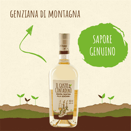 <STRONG>GRAPPA TRENTINA</STRONG><BR>ALLA GENZIANA