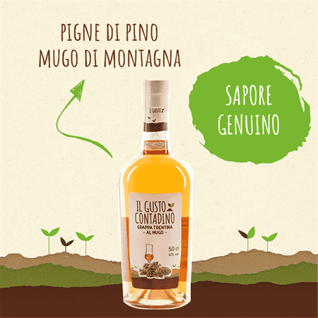 <STRONG>GRAPPA TRENTINA</STRONG><BR>AL MUGO
