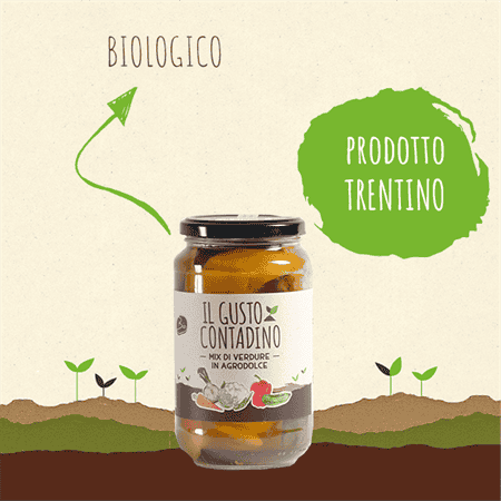 <strong>MIX DI VERDURE</strong><br>IN AGRODOLCE