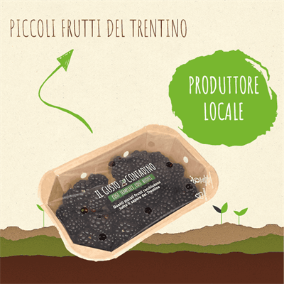 <STRONG>MORE</strong><br>(prodotto stagionale)