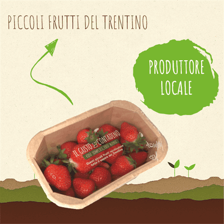 <strong>FRAGOLE</strong><br>(prodotto stagionale)