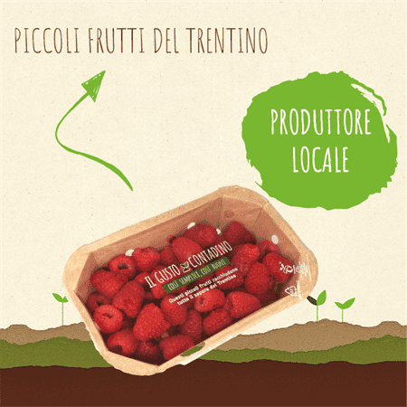 <STRONG>LAMPONI</strong><br>(prodotto stagionale)