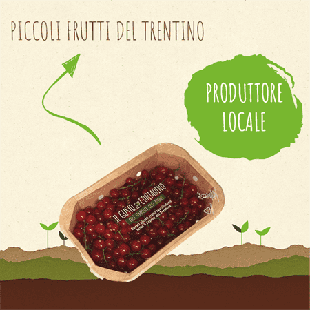 <STRONG>RIBES</strong><br>(prodotto stagionale)