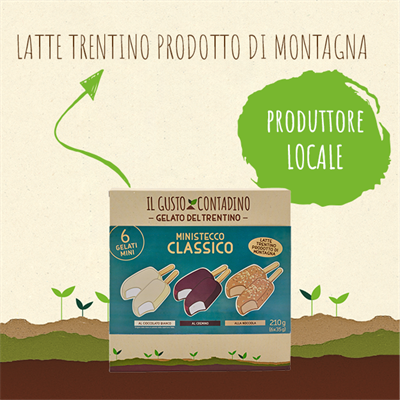 <strong>MINISTECCO</STRONG><BR>CLASSICO