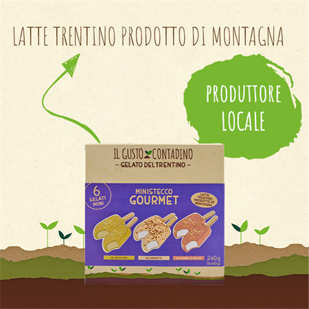 <strong>MINISTECCO</STRONG><BR>GOURMET