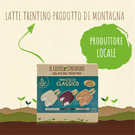 <strong>MINISTECCO</STRONG><BR>CLASSICO