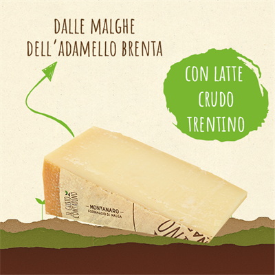 <STRONG>MONTANARO</STRONG><BR>FORMAGGIO DI MALGA