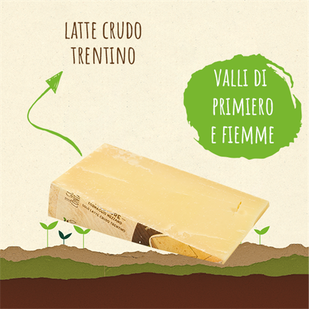 <STRONG>PIÙ SAPORE</STRONG><BR>FORMAGGIO MEZZANO