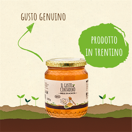 <STRONG>MIELE DI ACACIA</STRONG><BR>DEL TRENTINO