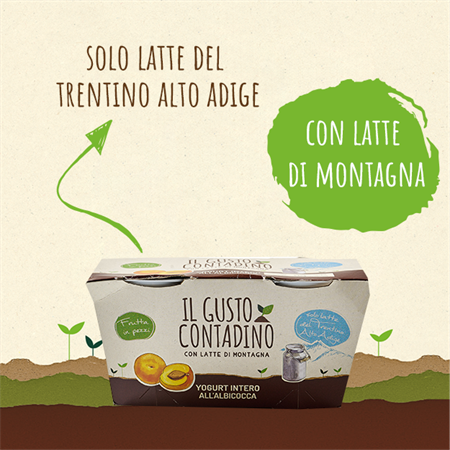 <strong>YOGURT INTERO</strong><br>ALL'ALBICOCCA