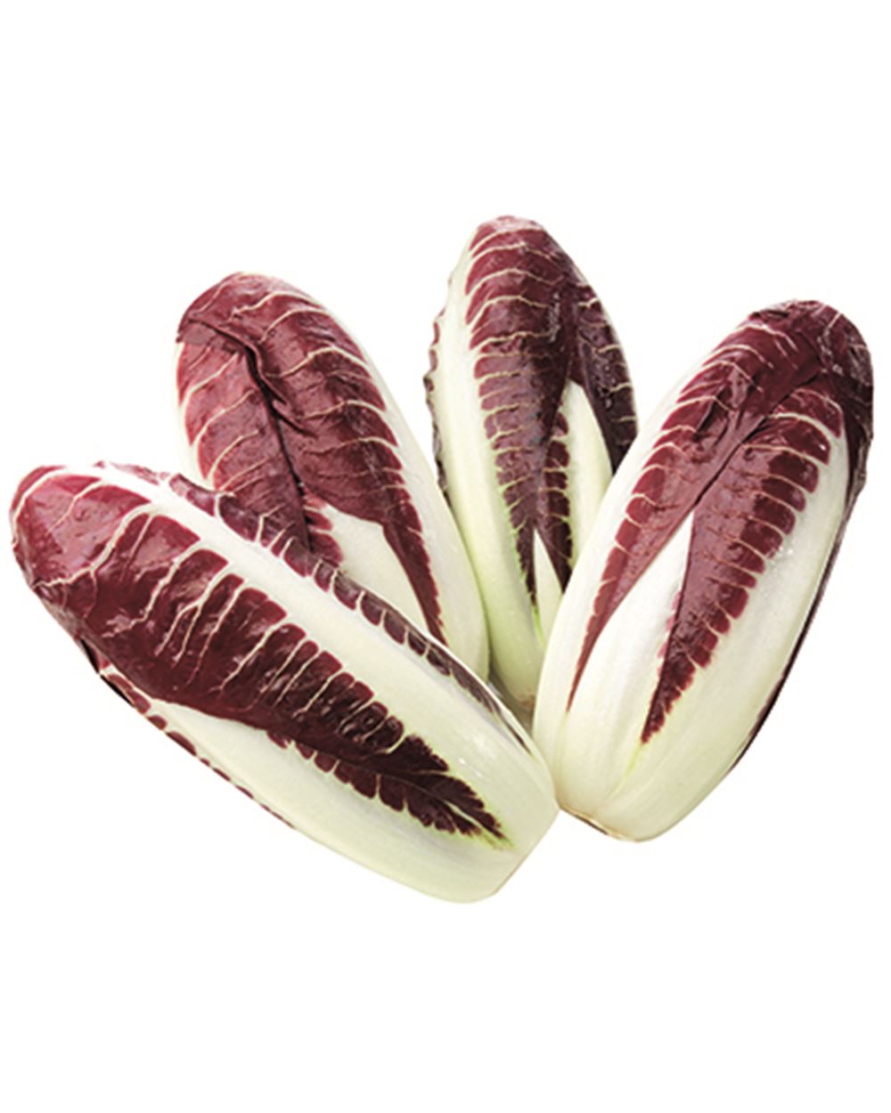 RADICCHIO ROSSO LUNGO PRECOCE al kg 