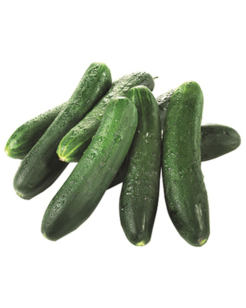 CETRIOLI al kg 