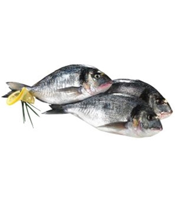 ORATE FRESCHE EXTRA 400/600 al kg ORATE FRESCHE EXTRA 400/600 al kg