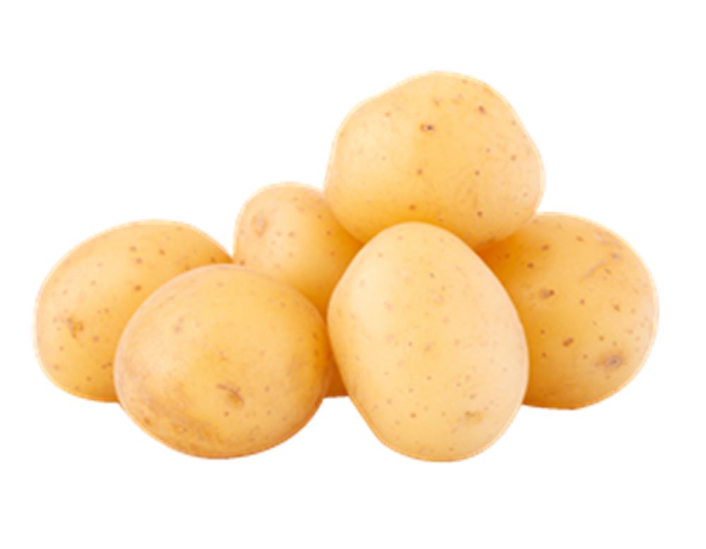 PATATE SACCO II 5 kg 