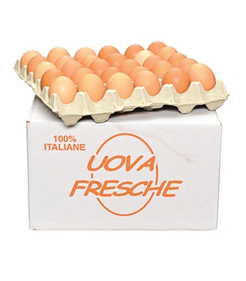 UOVA GRANDI AIA 90 PEZZI UOVA GRANDI AIA 90 PEZZI