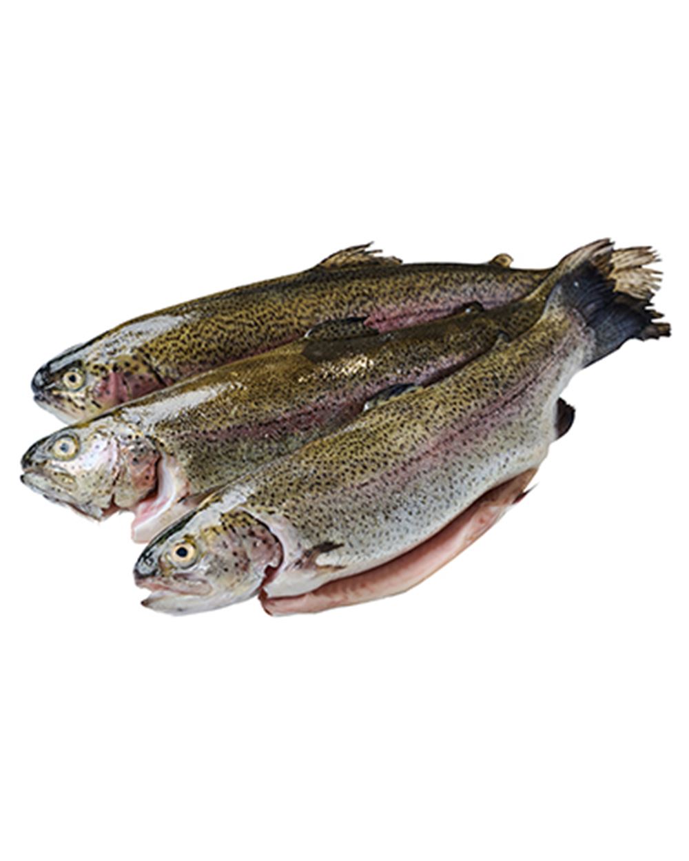 TROTA SALMONATA DEL TRENTINO IGP GUSTO CONTADINO al kg 