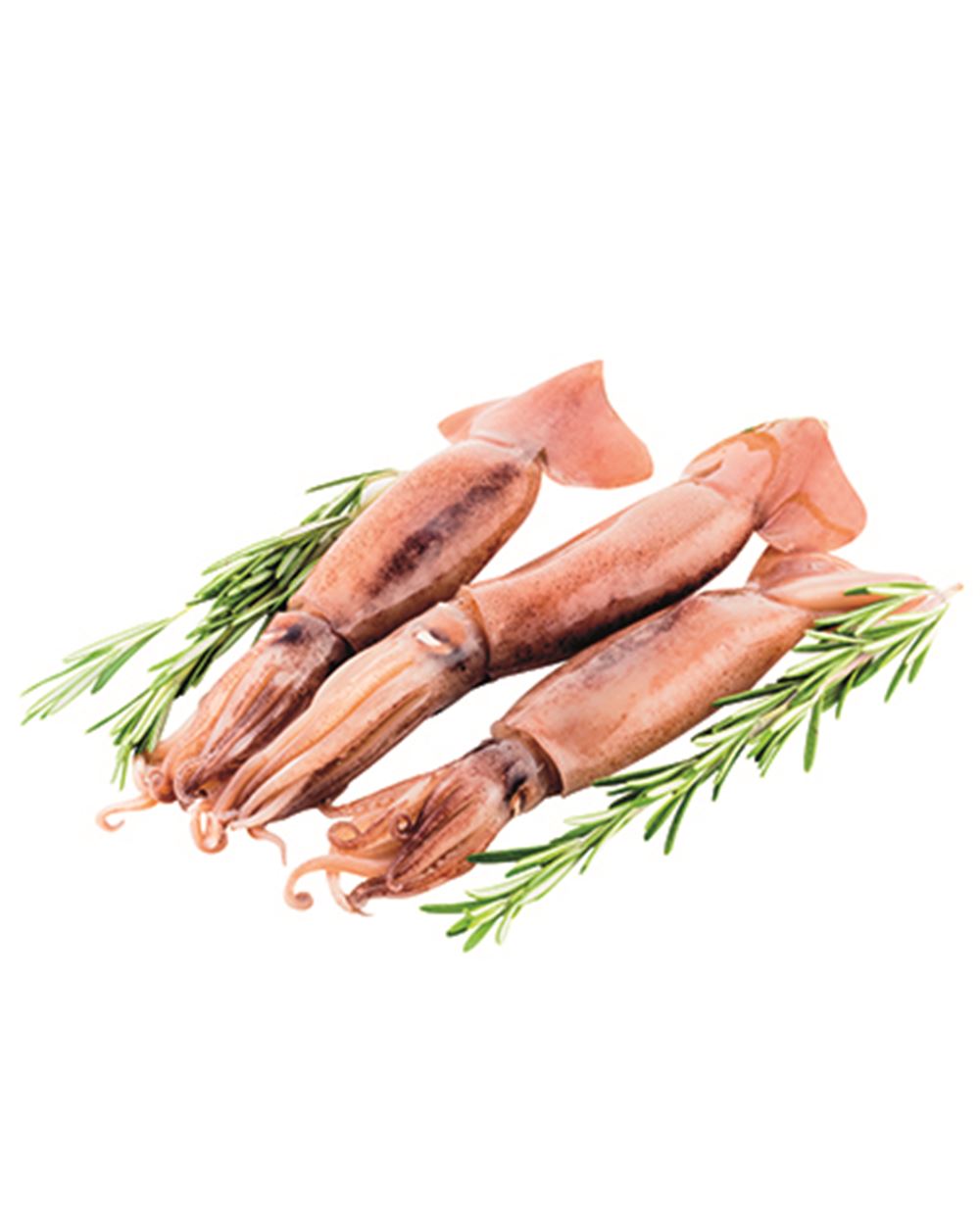 TOTANO ATLANTICO FRESCO al kg 