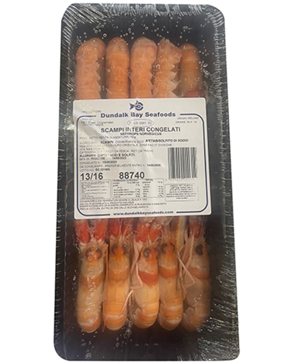 SCAMPI 13/16 750 g 