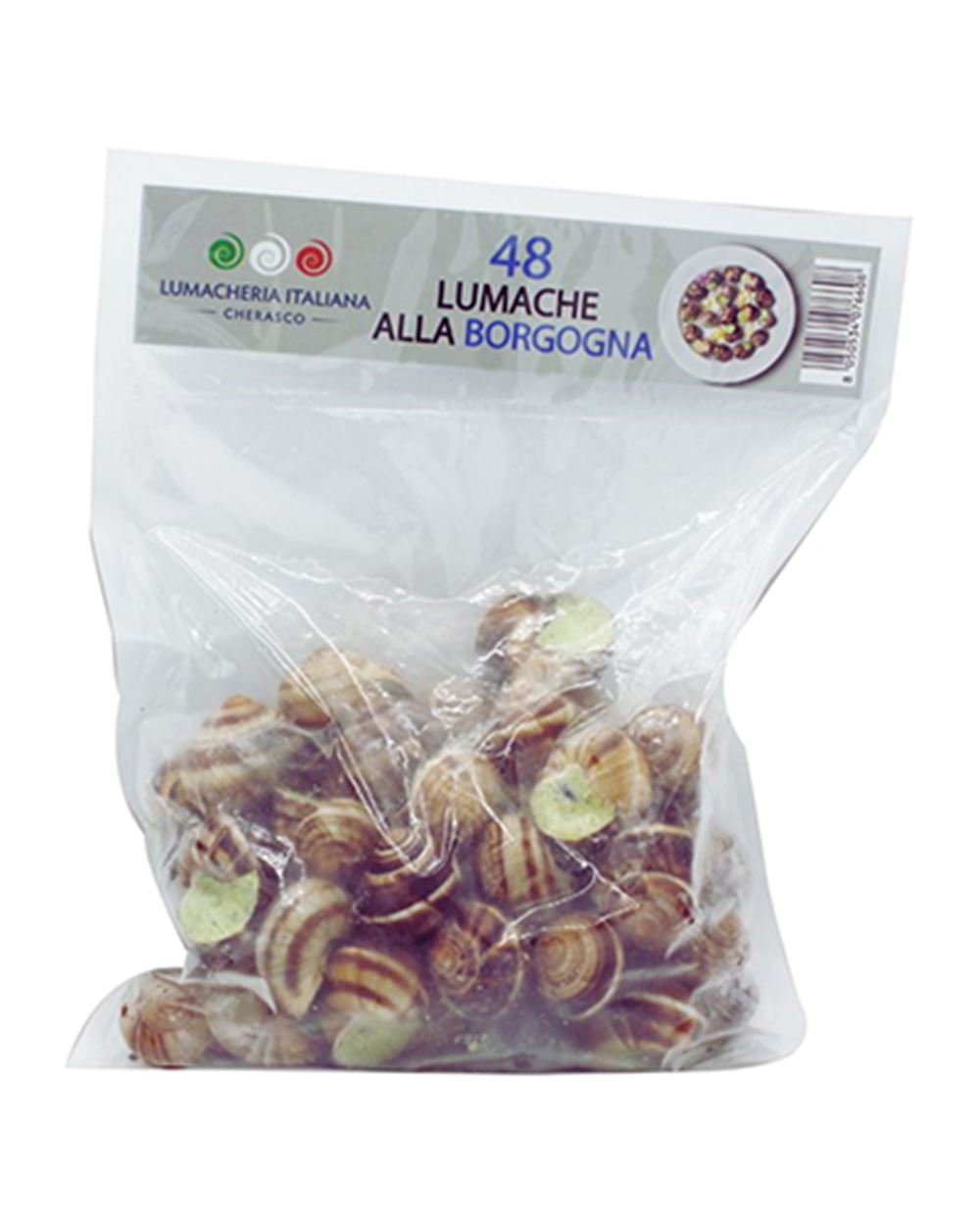 LUMACHE ALLA BORGOGNA X48 LUMACHERIA ITALIANA 600 g 