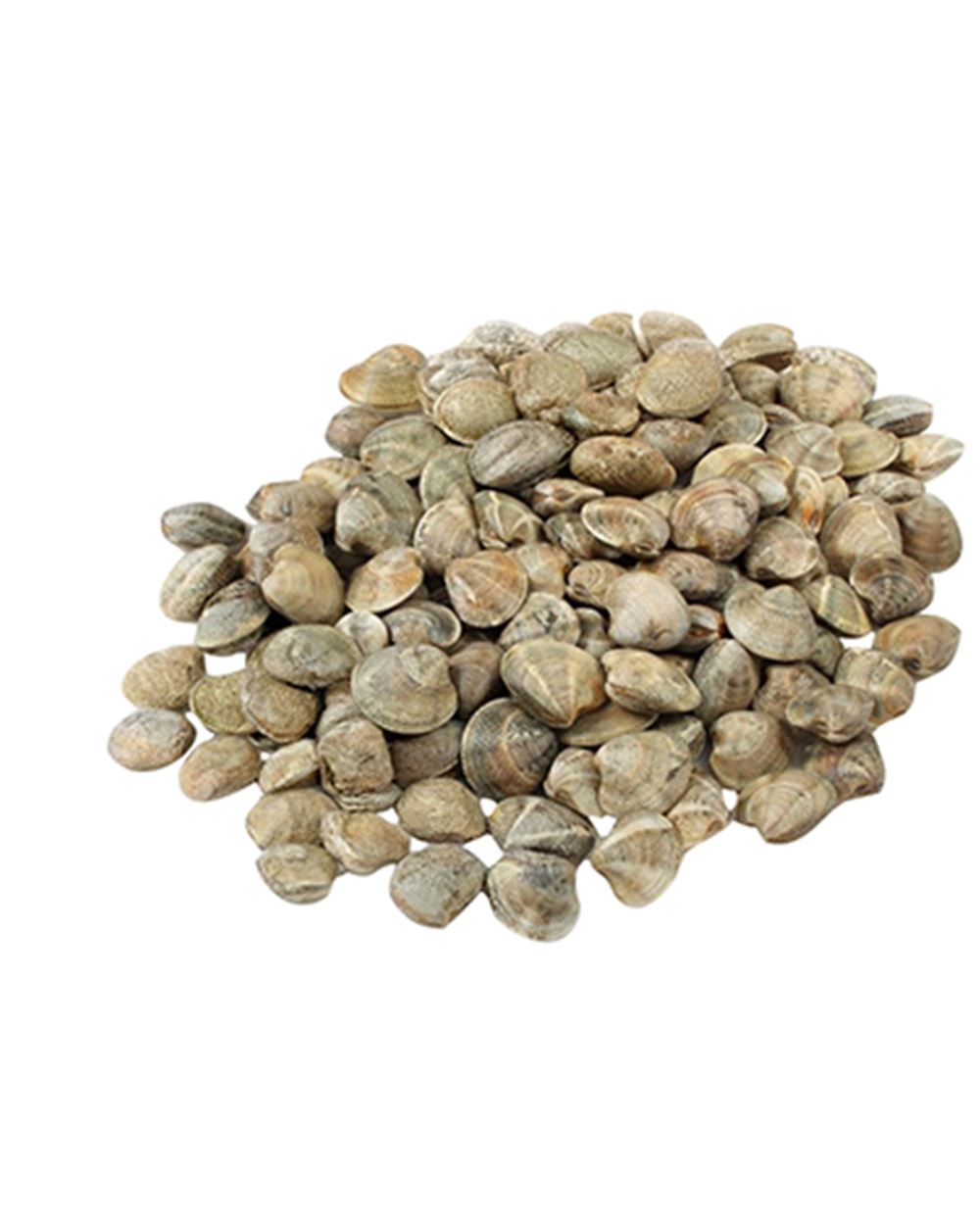 VONGOLE LUPINO al kg 