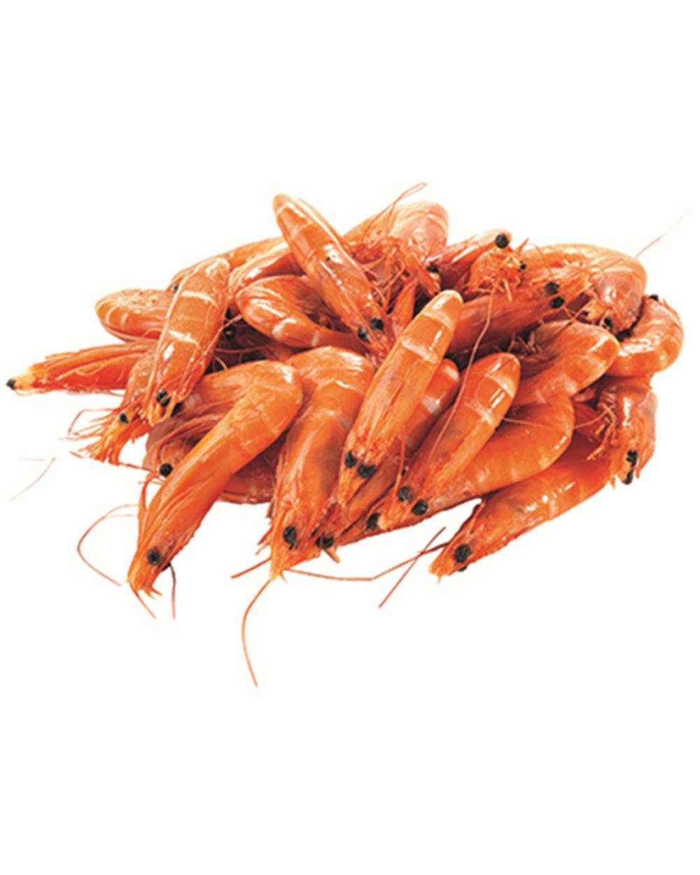 MAZZANCOLLA TROPICALE GROSSA 30/40 PRECOTTA al kg 
