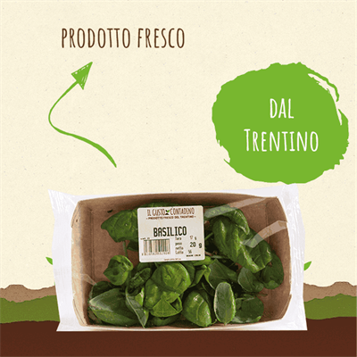 <strong>BASILICO</STRONG><BR>DEL TRENTINO