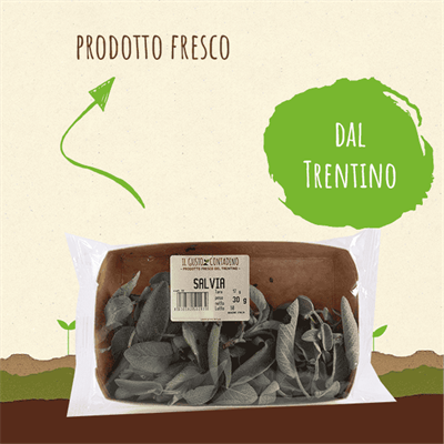<STRONG>SALVIA</STRONG><BR>DEL TRENTINO