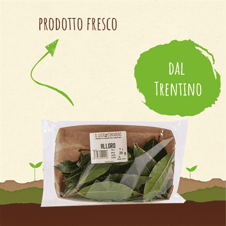<STRONG>ALLORO</STRONG><BR>DEL TRENTINO