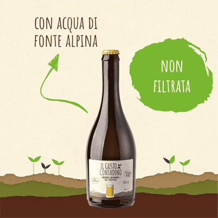 <STRONG>BIRRA BIONDA</STRONG><BR>DEL TRENTINO