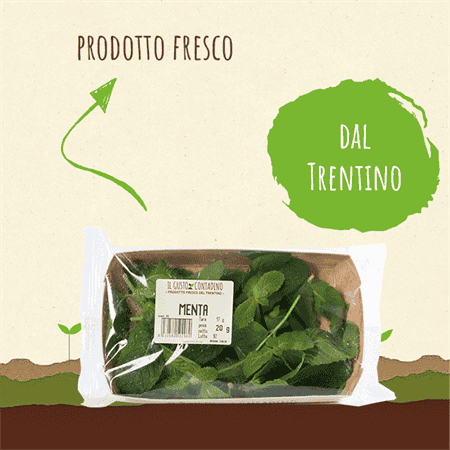 <STRONG>MENTA</STRONG><BR>DEL TRENTINO