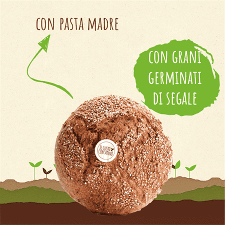 <STRONG>PAGNOTTA RUSTICA</STRONG><BR>