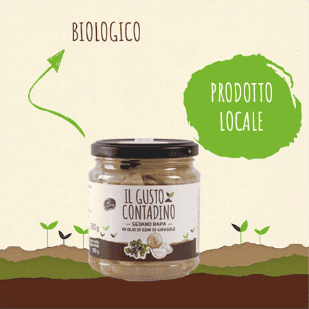 <STRONG>SEDANO RAPA</STRONG><BR>IN OLIO DI SEMI DI GIRASOLE