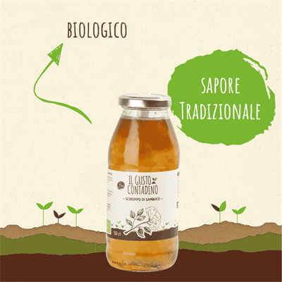 <STRONG>SCIROPPO DI SAMBUCO</STRONG><BR>BIOLOGICO