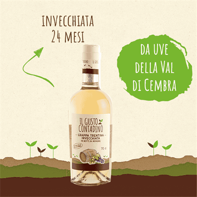 <STRONG>GRAPPA</STRONG><BR>INVECCHIATA
