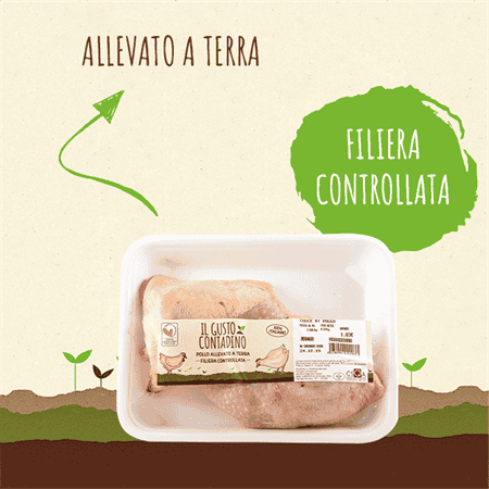 <STRONG>COSCE DI POLLO</STRONG><BR>