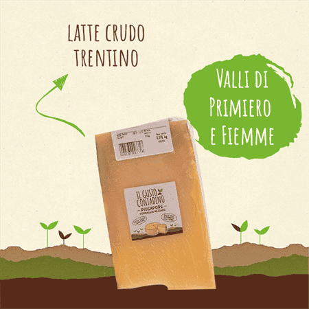 <STRONG>PIÙ SAPORE</STRONG><BR>FORMAGGIO MEZZANO