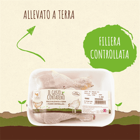 <STRONG>FUSI DI POLLO</STRONG>