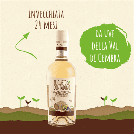 <STRONG>GRAPPA</STRONG><BR>INVECCHIATA