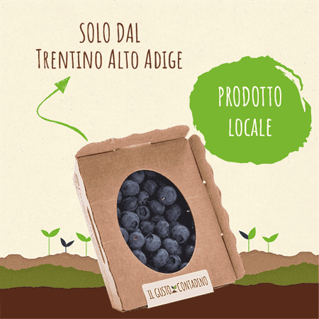 <STRONG>MIRTILLI</strong><br>(prodotto stagionale)