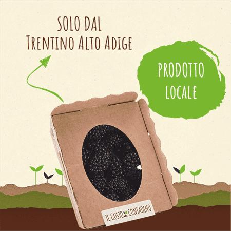 <STRONG>MORE</strong><br>(prodotto stagionale)