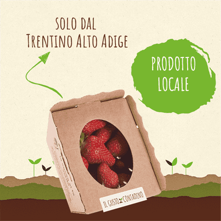 <strong>FRAGOLE</strong><br>(prodotto stagionale)