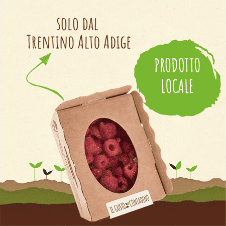 <STRONG>LAMPONI</strong><br>(prodotto stagionale)