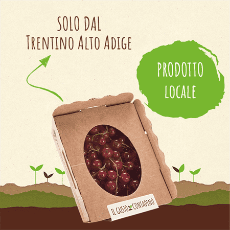 <STRONG>RIBES</strong><br>(prodotto stagionale)