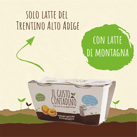 <strong>YOGURT INTERO</strong><br>ALL'ALBICOCCA