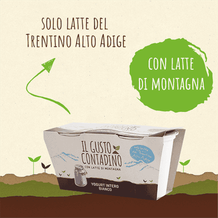 <strong>YOGURT INTERO</strong><br>BIANCO